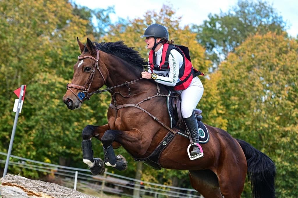 Compétition Dressage, CCE, CSO